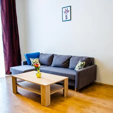 Apartament Brązowy Narutowicza 11 *