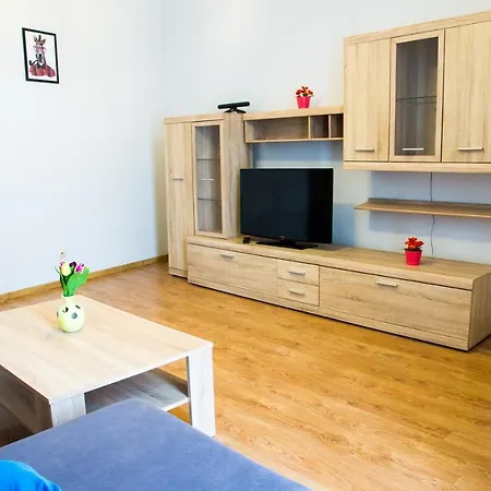 Brązowy Narutowicza 11 Apartament
