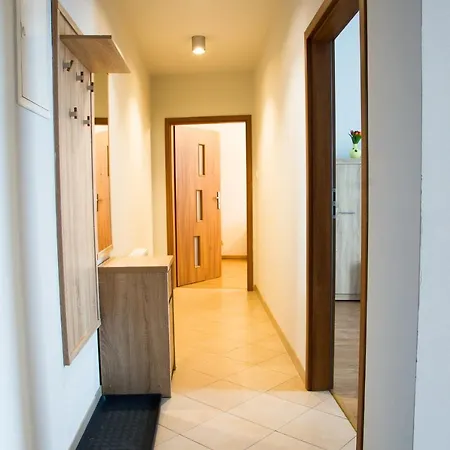 Апартаменти Brazowy Narutowicza 11 *