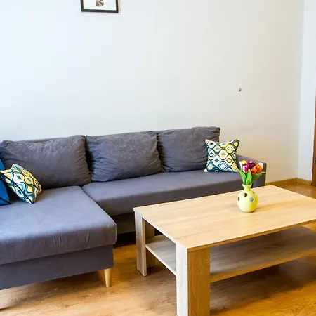 Apartament Brązowy Narutowicza 11 *
