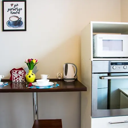 Brazowy Narutowicza 11