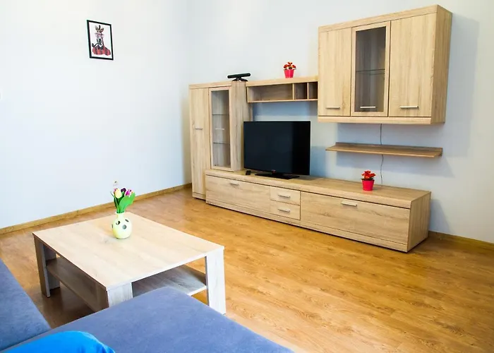 Brazowy Narutowicza 11 Apartment