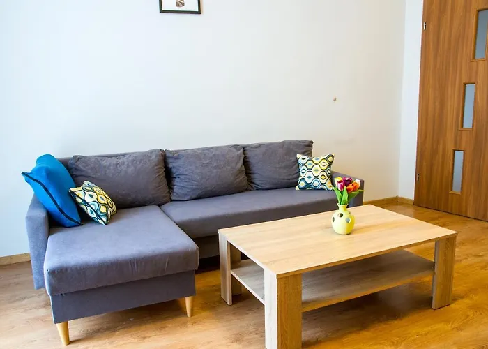 Apartment Brazowy Narutowicza 11 *